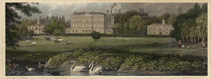 Hales Place